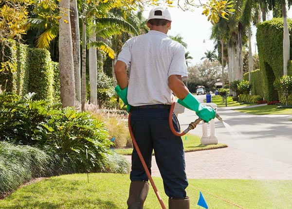 About Scottville IL Pest Control